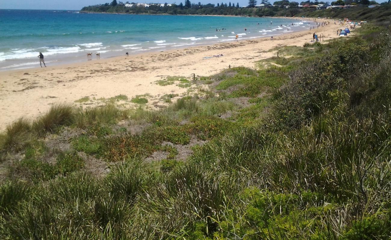 Culburra Beach'in fotoğrafı parlak ince kum yüzey ile