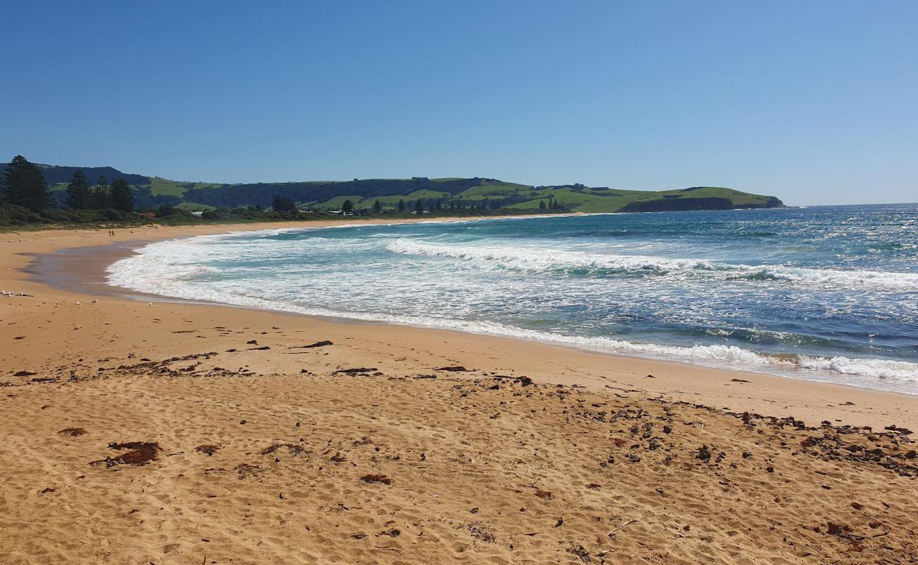 Werri Beach'in fotoğrafı parlak ince kum yüzey ile