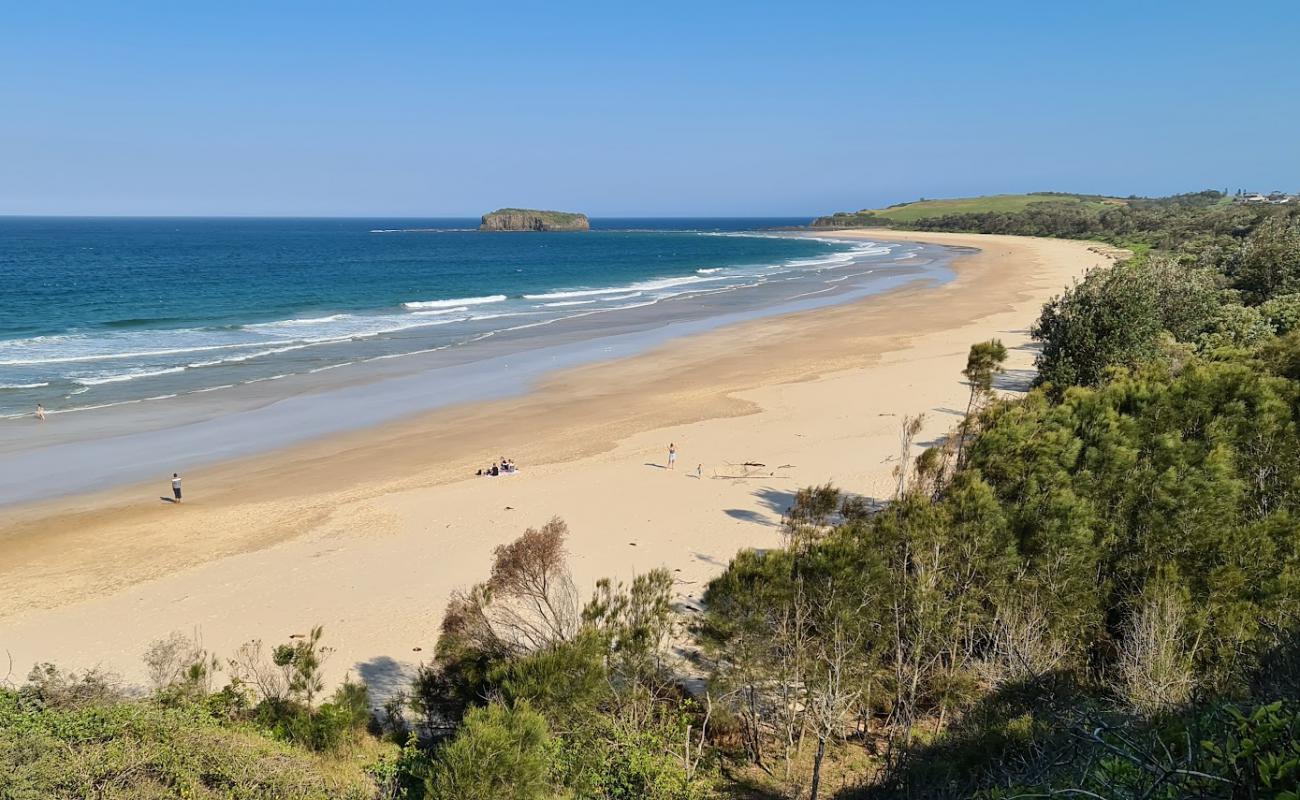 Minnamurra Beach'in fotoğrafı parlak ince kum yüzey ile