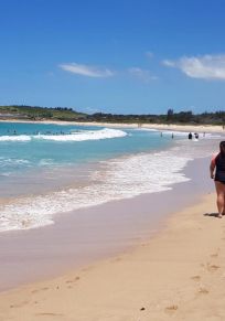 Shellharbour Bölgesi