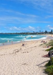 Shellharbour Bölgesi