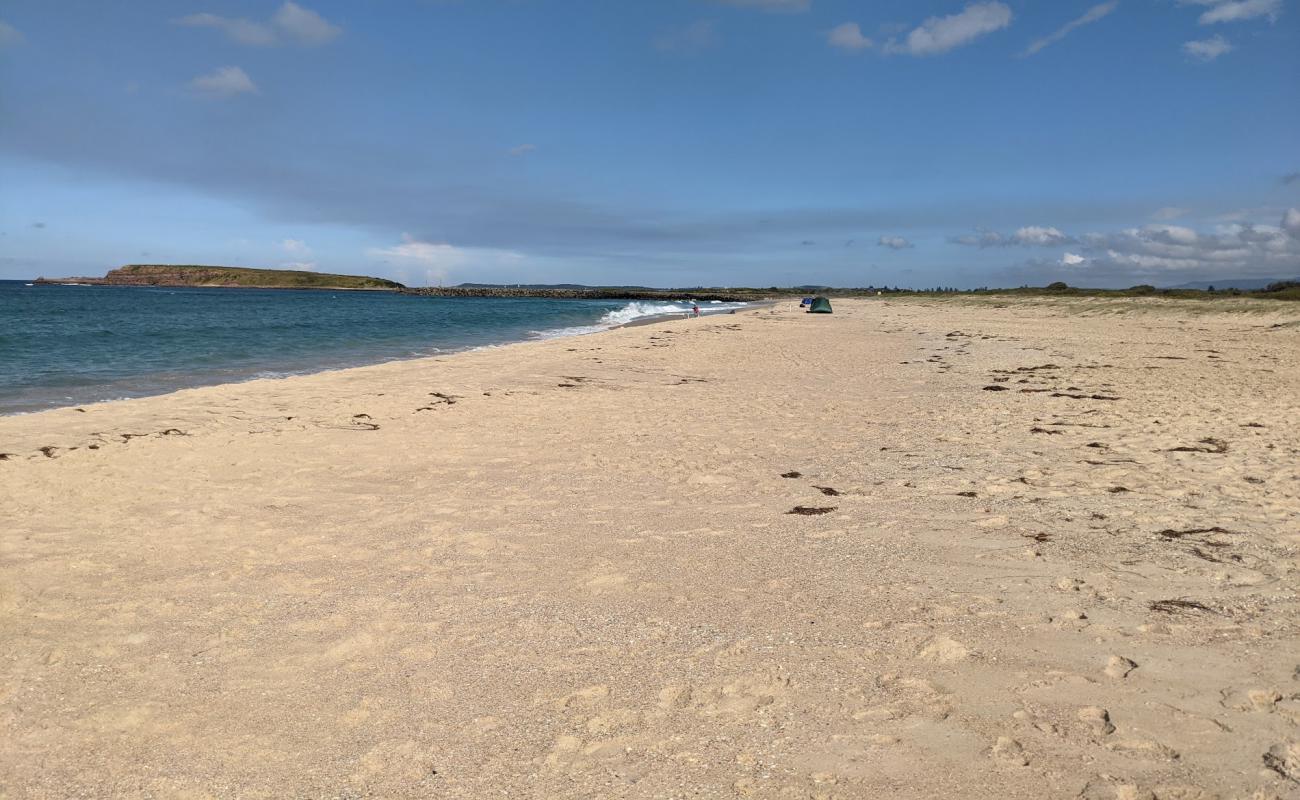 Windang Beach'in fotoğrafı i̇nce bej kum yüzey ile