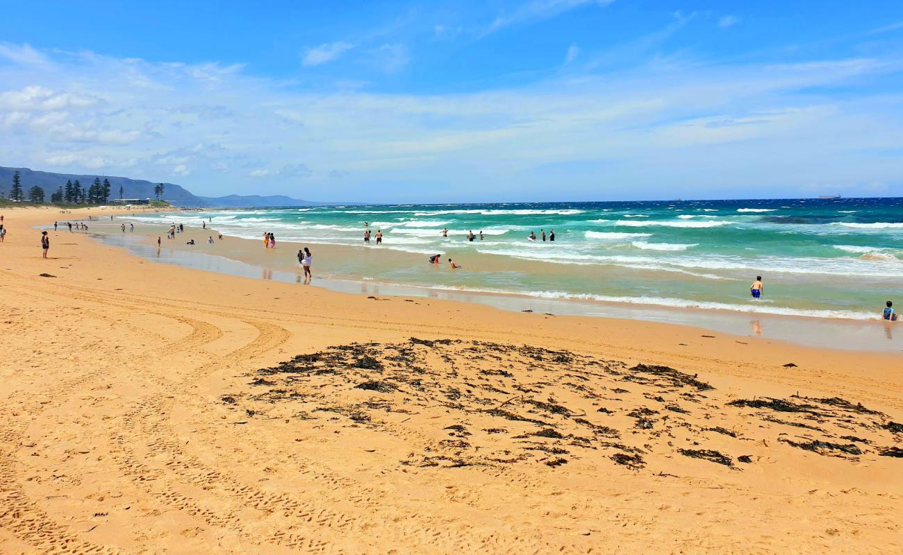 Bulli Beach'in fotoğrafı açık bej kum yüzey ile