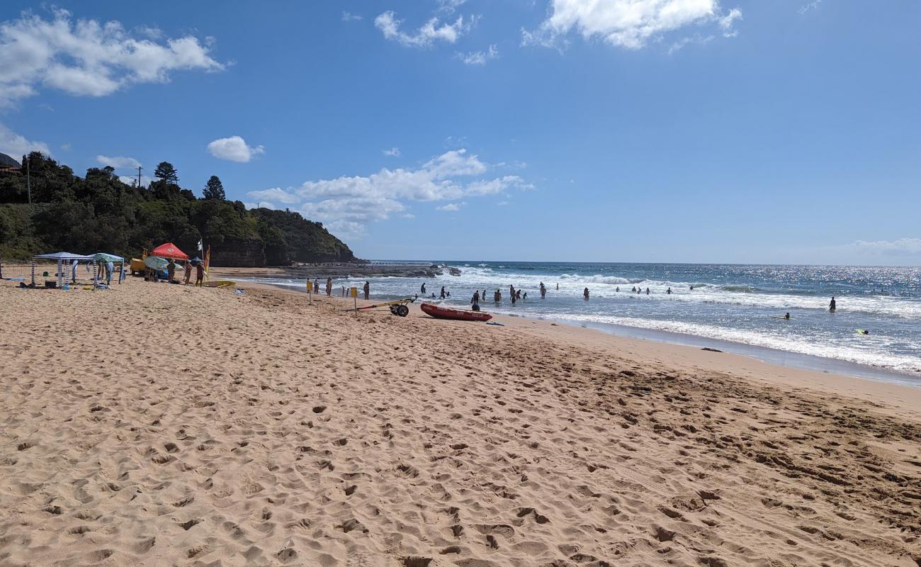 Coledale Beach'in fotoğrafı açık bej kum yüzey ile