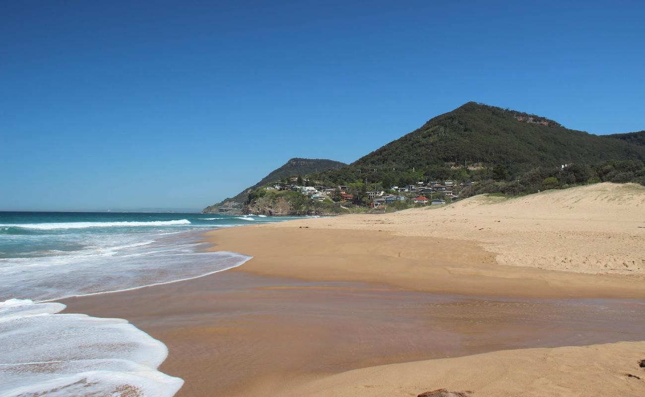 Stanwell Park Beach'in fotoğrafı açık bej kum yüzey ile