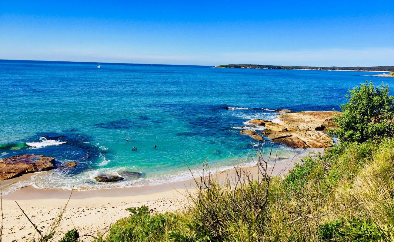 Blackwoods Beach'in fotoğrafı parlak kum yüzey ile