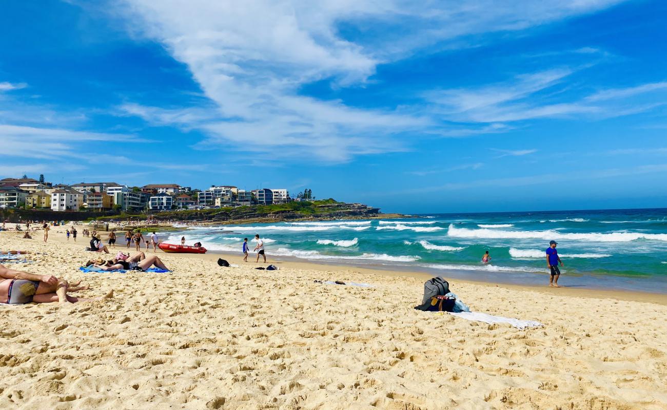 Maroubra Beach'in fotoğrafı parlak kum yüzey ile