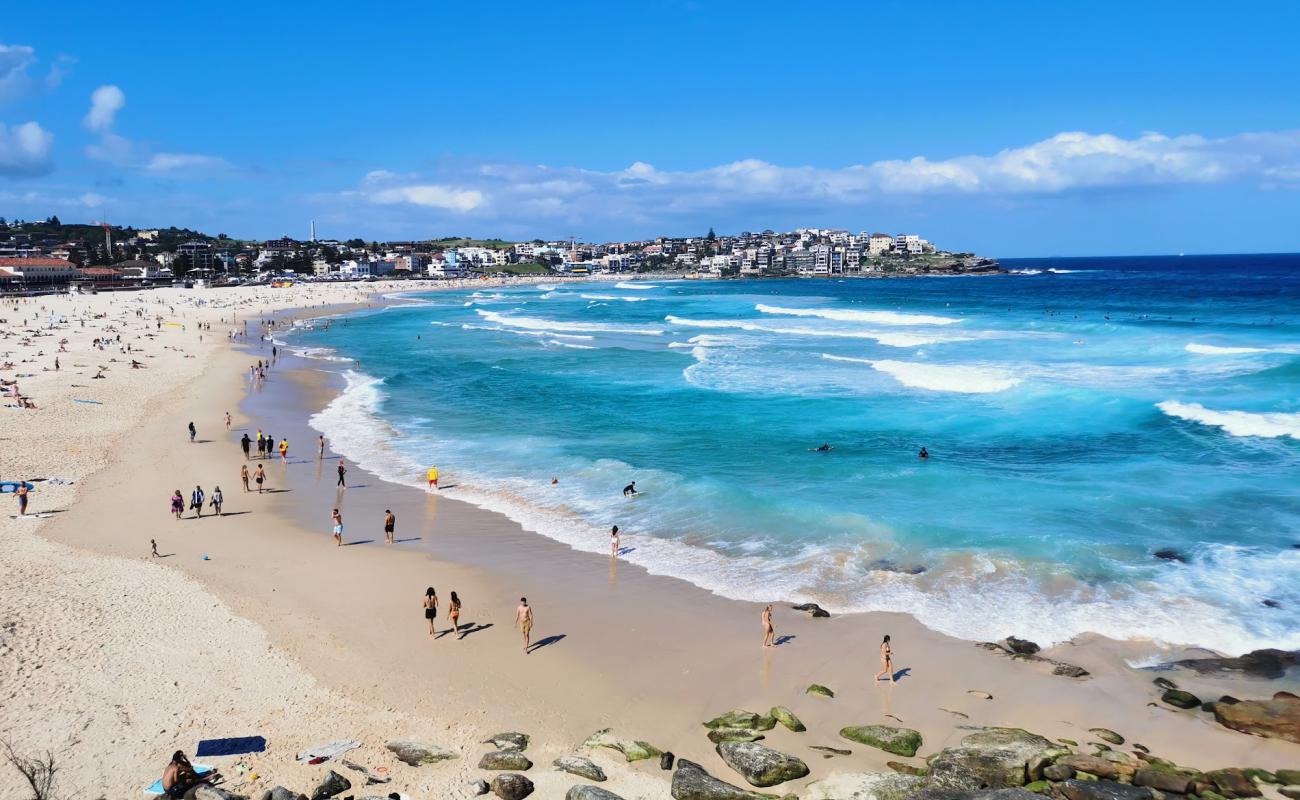 Bondi Beach'in fotoğrafı parlak ince kum yüzey ile