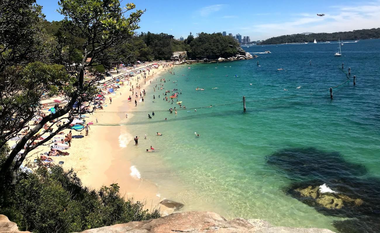 Shark Beach'in fotoğrafı parlak kum yüzey ile