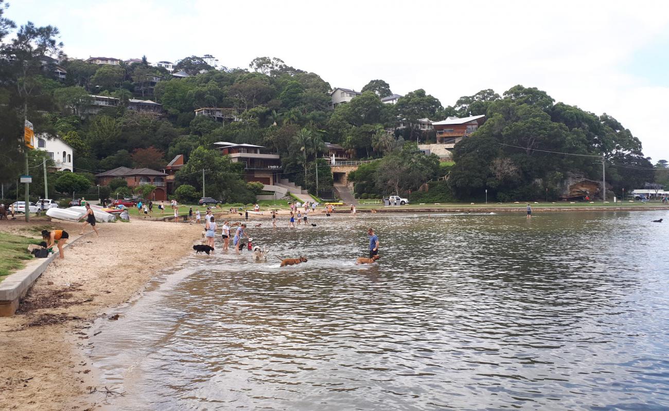Sandy Bay Beach'in fotoğrafı açık bej kum yüzey ile