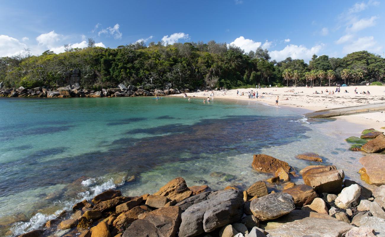 Shelly Beach'in fotoğrafı parlak kum yüzey ile