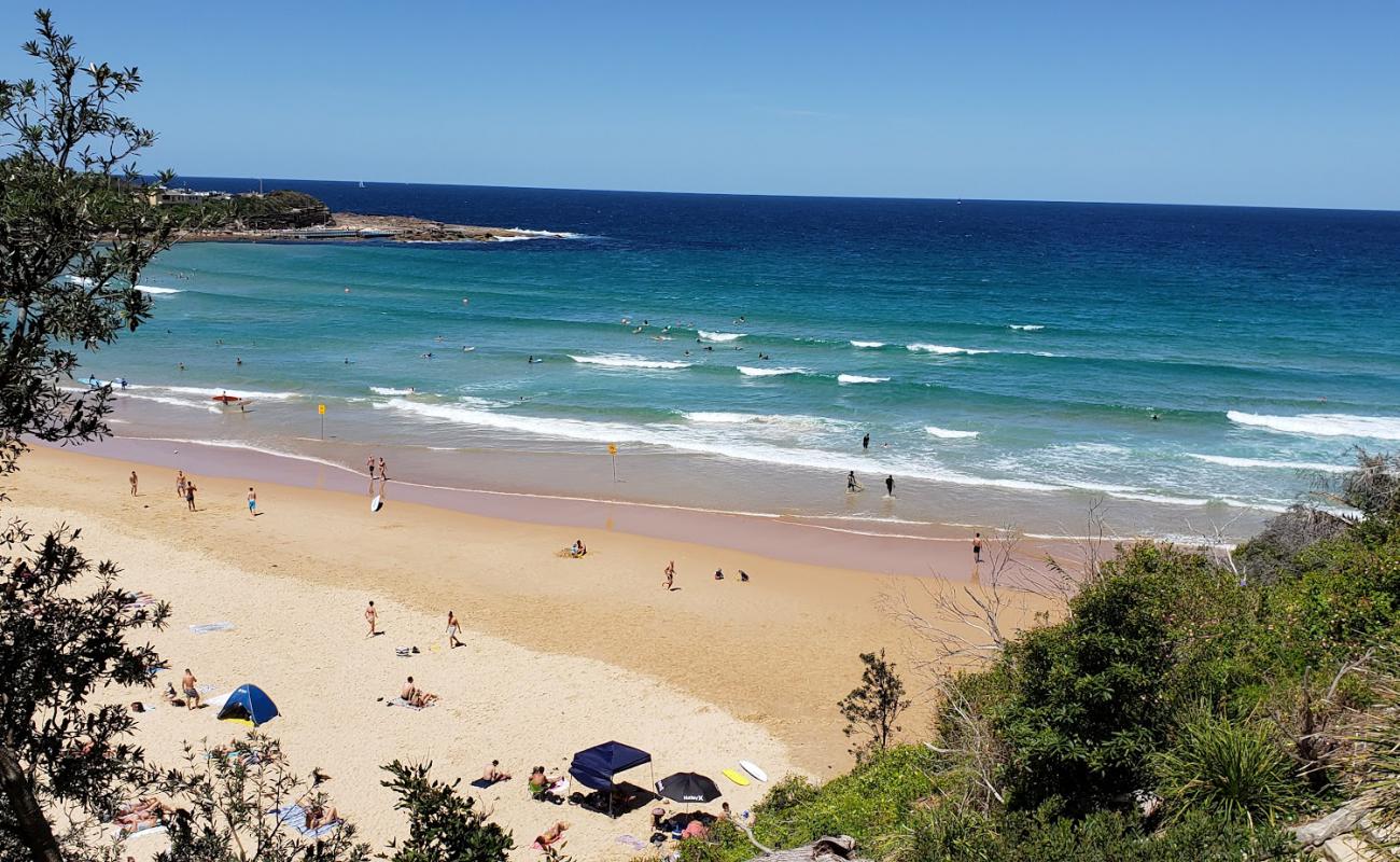 Freshwater Beach'in fotoğrafı parlak ince kum yüzey ile