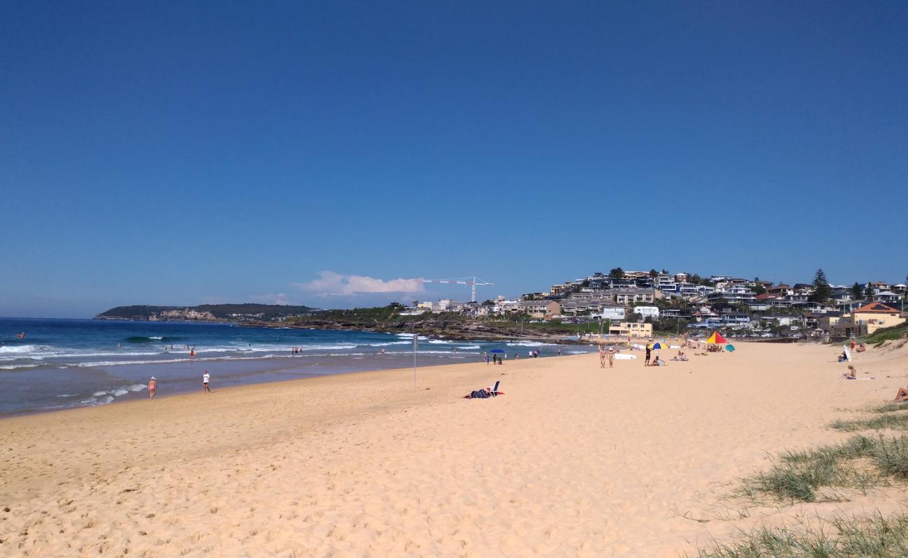 South Curl Curl Beach'in fotoğrafı i̇nce bej kum yüzey ile