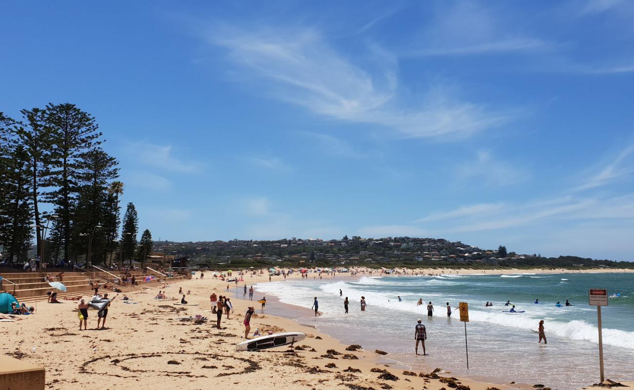 Dee Why Beach'in fotoğrafı parlak ince kum yüzey ile