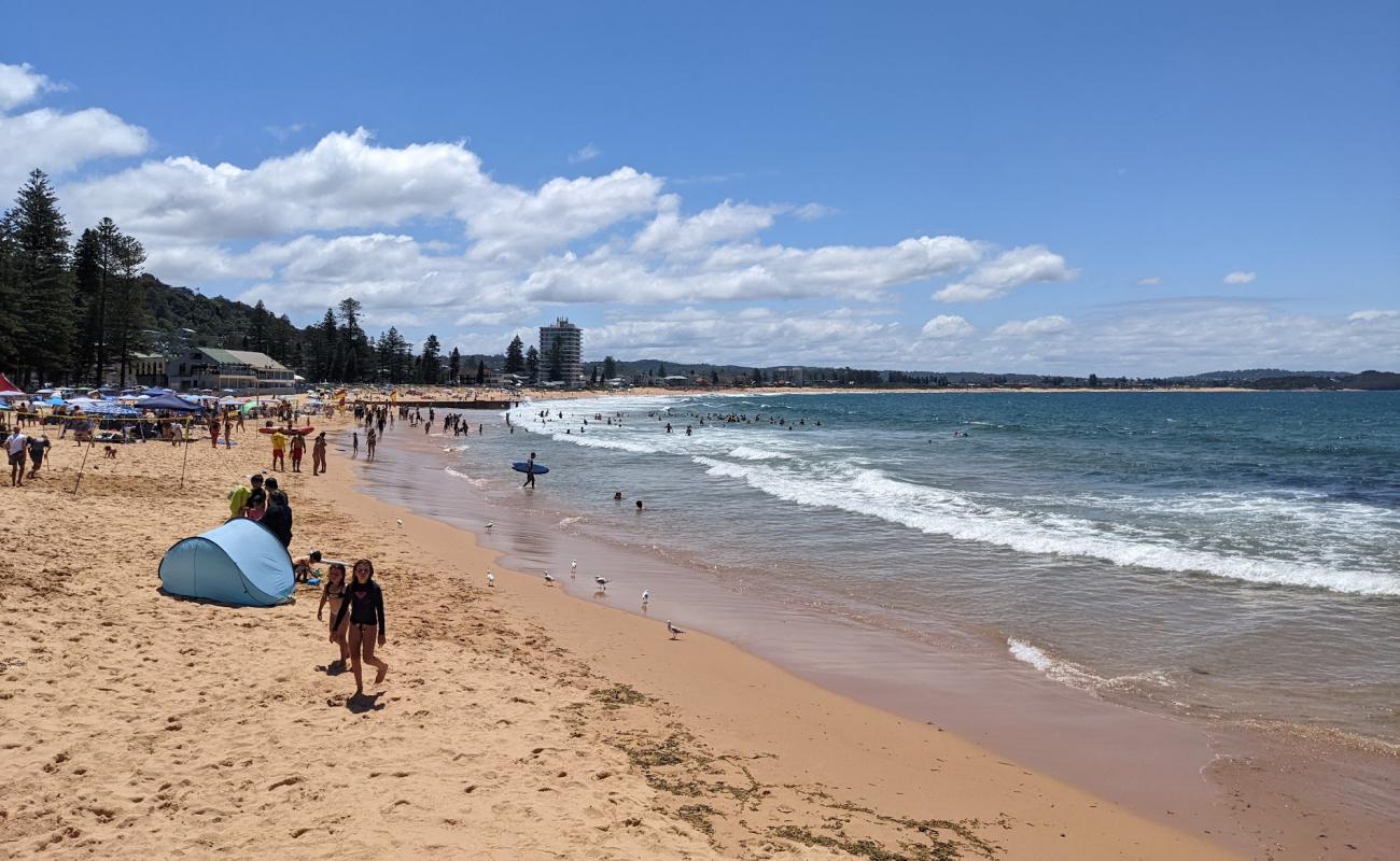 Collaroy Beach'in fotoğrafı açık bej kum yüzey ile