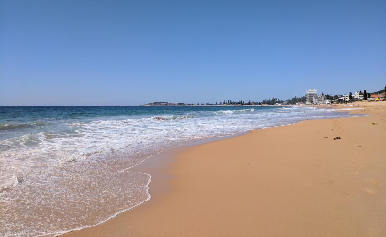 Narrabeen Beach'in fotoğrafı parlak kum yüzey ile