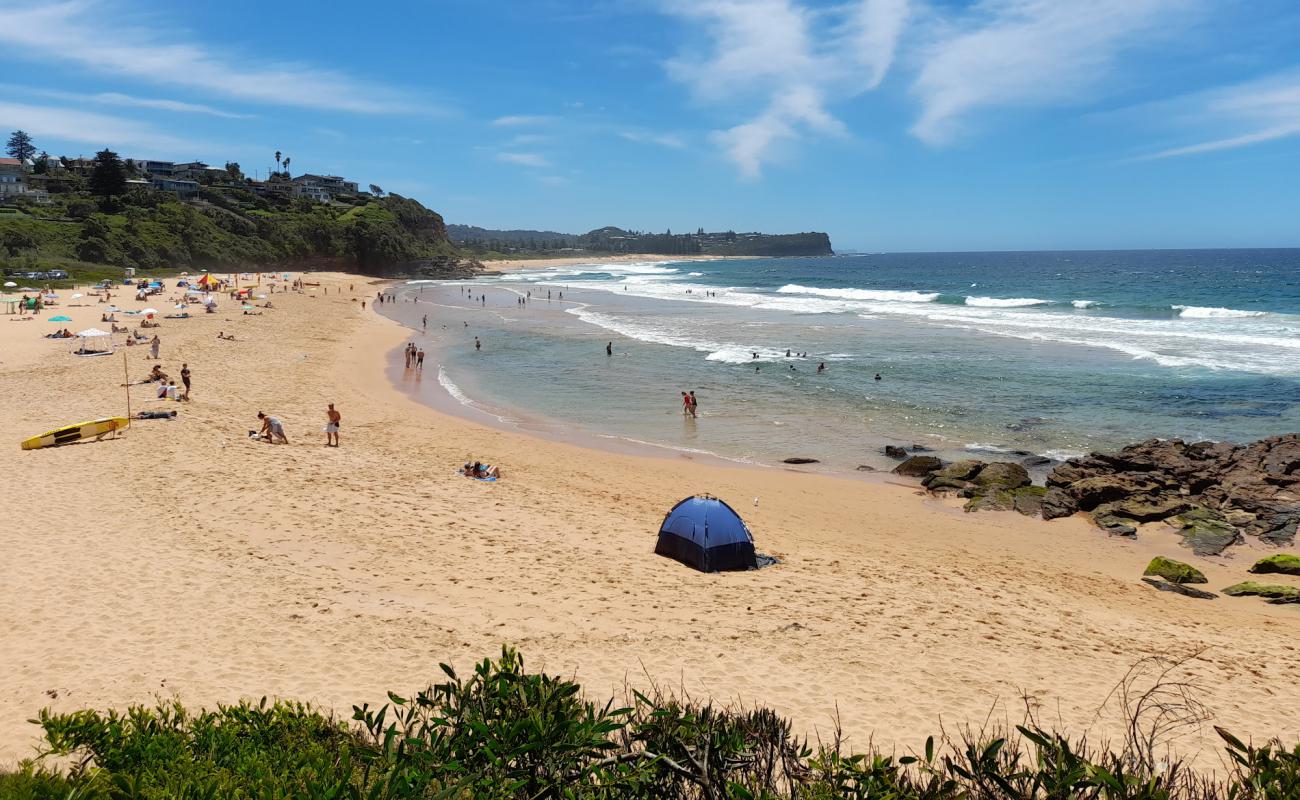 Warriewood Beach'in fotoğrafı açık bej kum yüzey ile