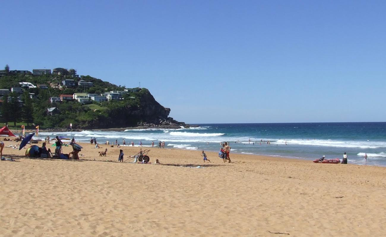 Whale Beach'in fotoğrafı parlak ince kum yüzey ile