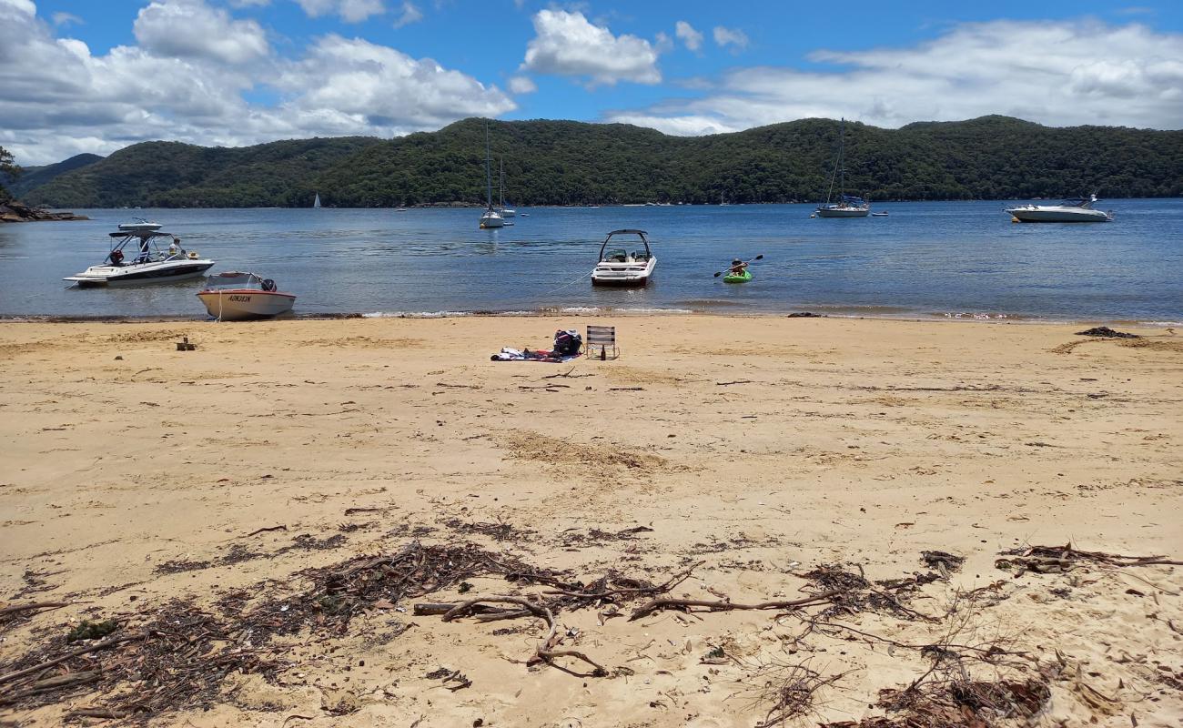 Hallets Beach'in fotoğrafı parlak kum yüzey ile