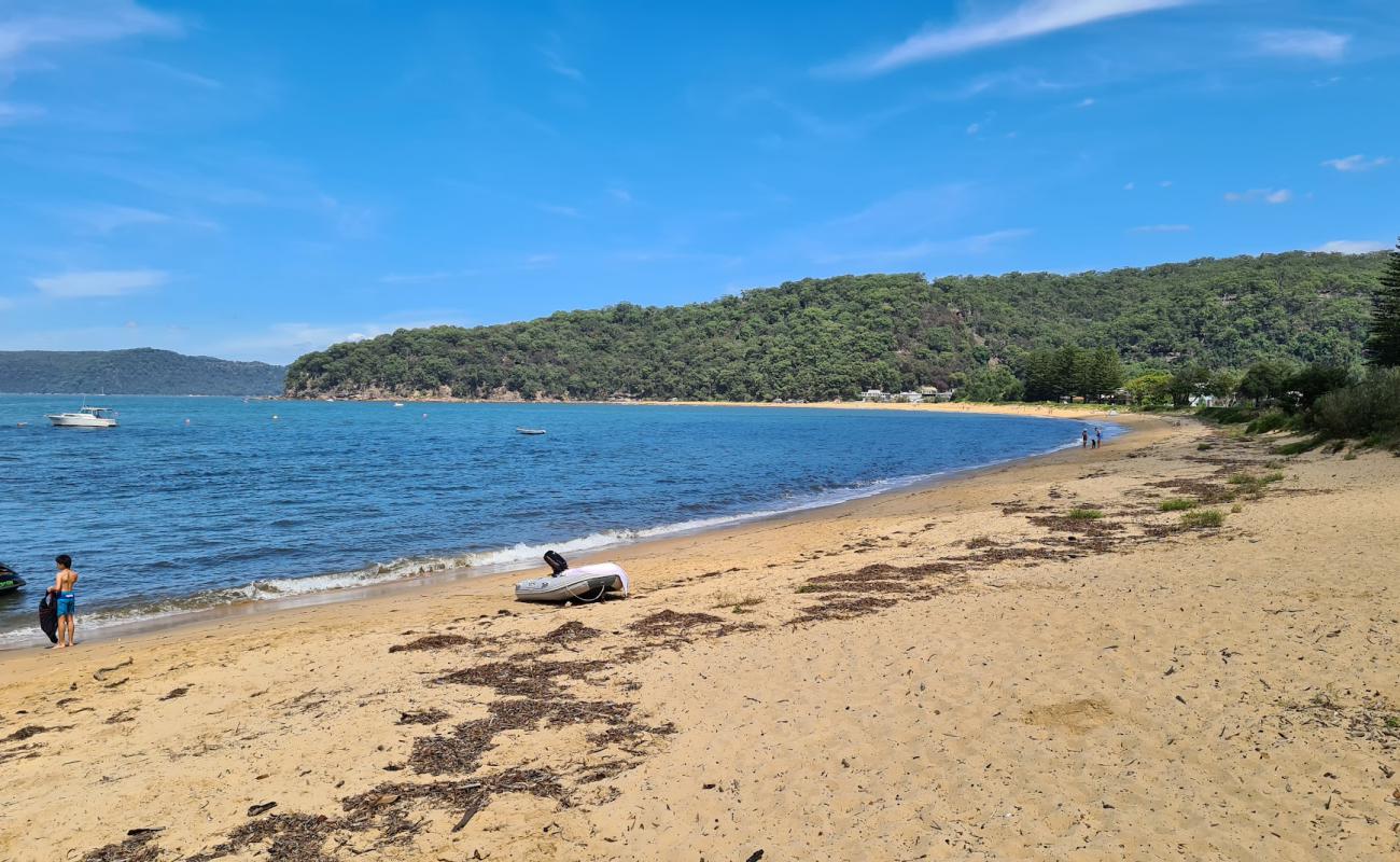 Patonga Beach'in fotoğrafı parlak kum yüzey ile