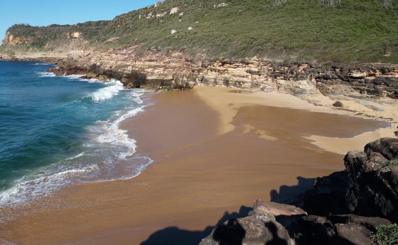Little Tallow Beach'in fotoğrafı i̇nce bej kum yüzey ile