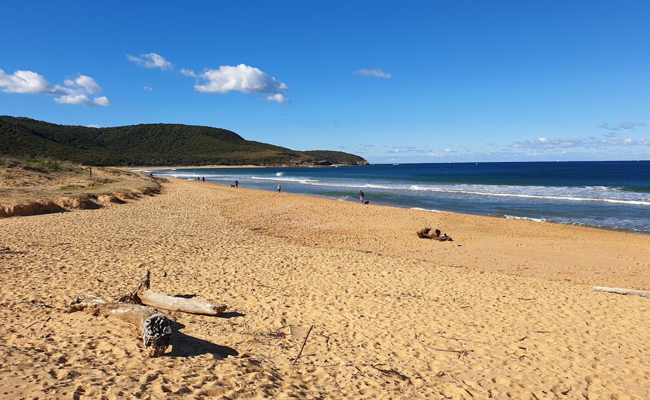 Killcare Beach'in fotoğrafı i̇nce bej kum yüzey ile