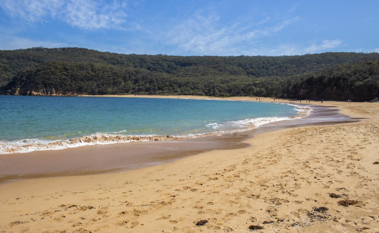 Maitland Bay Beach'in fotoğrafı i̇nce bej kum yüzey ile