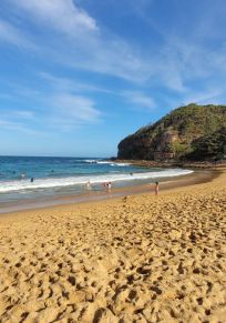 Central Coast Konseyi