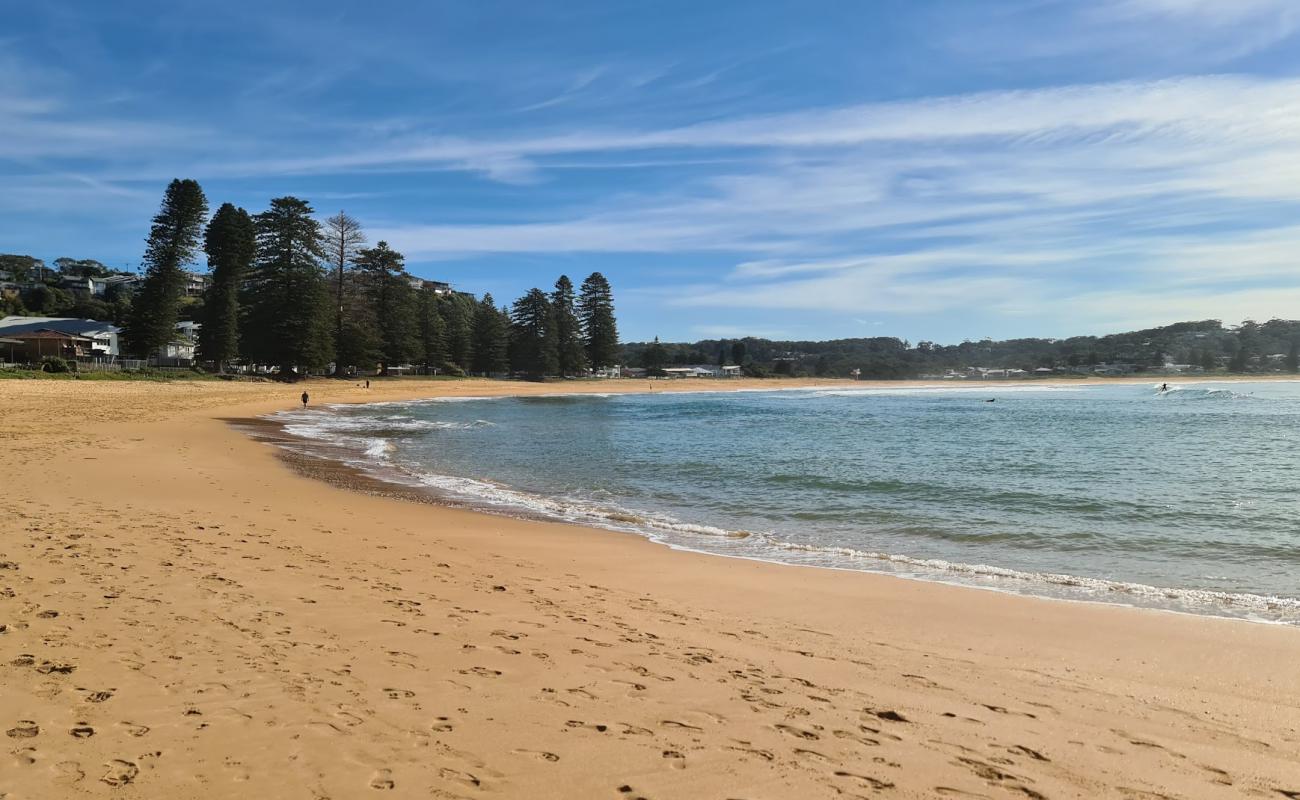 North Avoca Beach'in fotoğrafı parlak ince kum yüzey ile