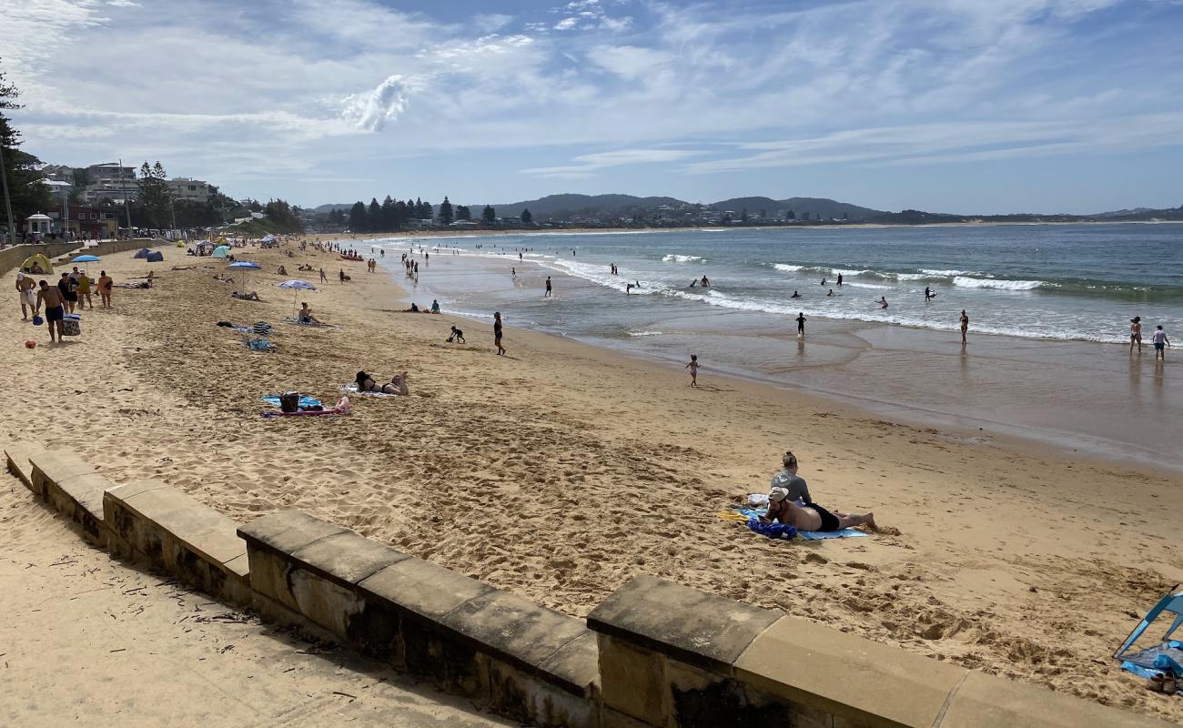 Terrigal Beach'in fotoğrafı açık bej kum yüzey ile