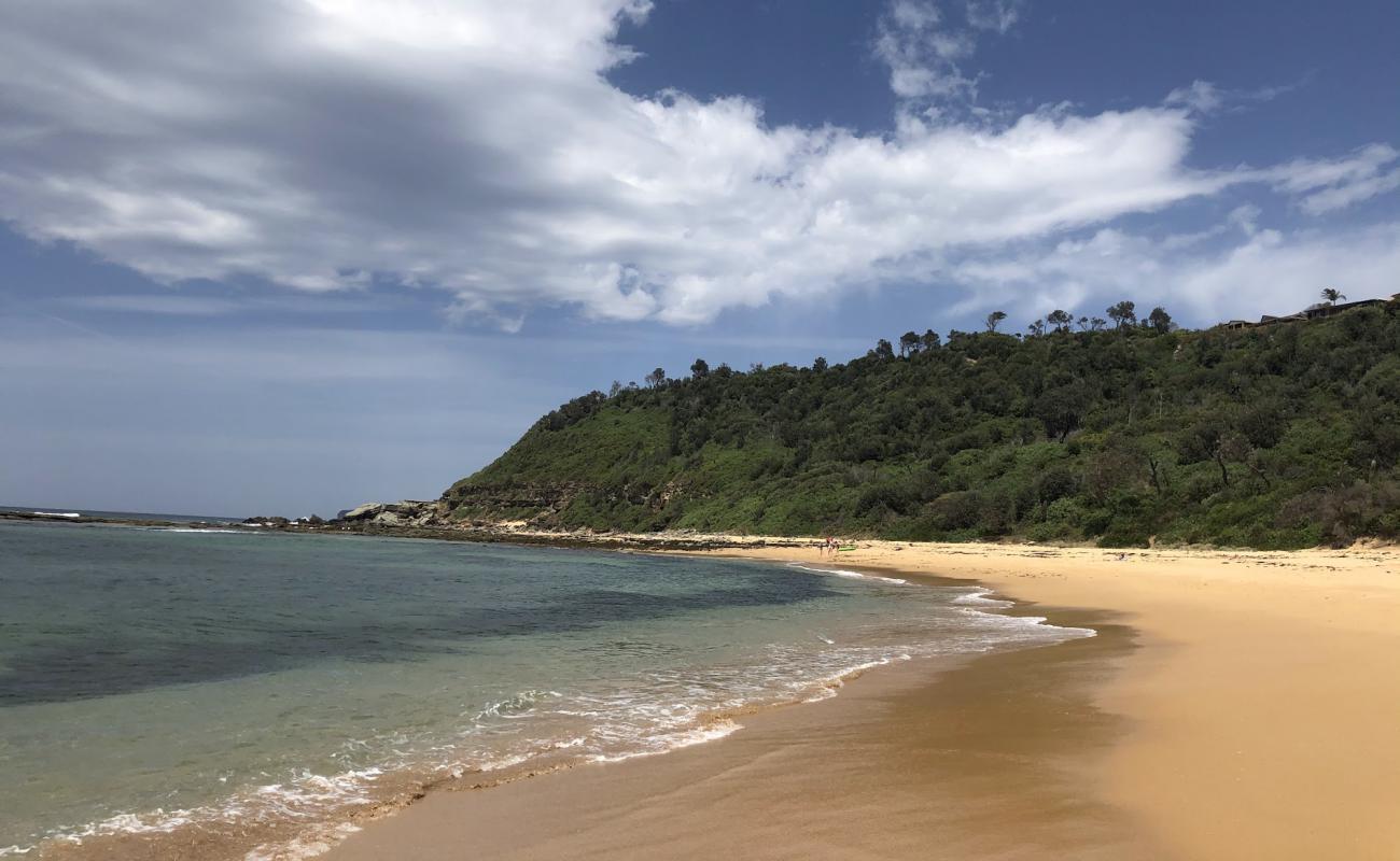 Forresters Beach'in fotoğrafı i̇nce bej kum yüzey ile