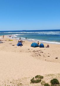 Central Coast Konseyi