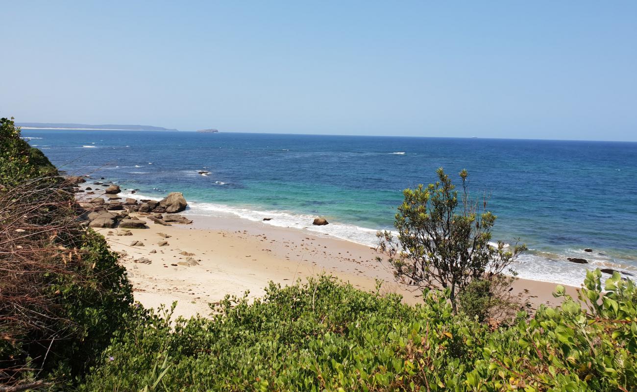 Jenny Dixon Beach'in fotoğrafı parlak kum yüzey ile