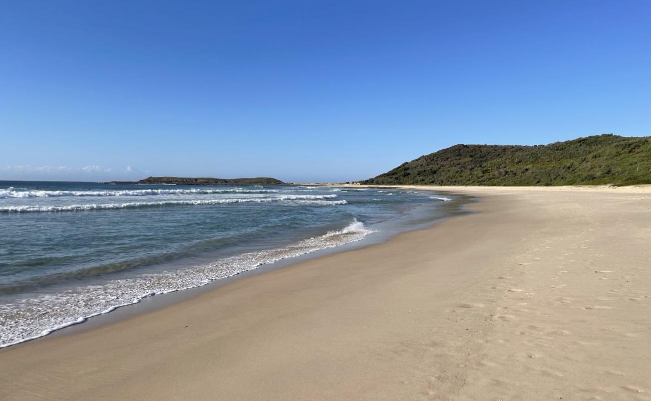 Moonee Beach'in fotoğrafı parlak ince kum yüzey ile