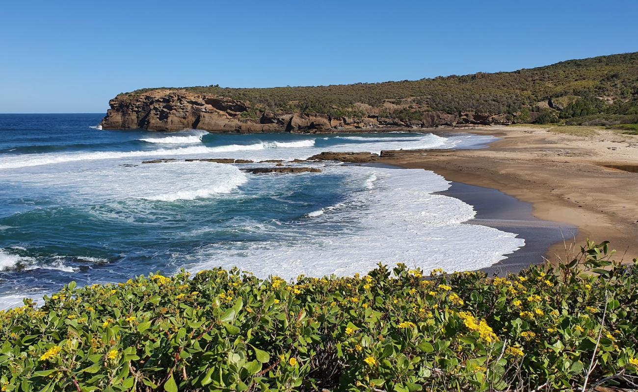 Pinny Beach'in fotoğrafı parlak kum yüzey ile