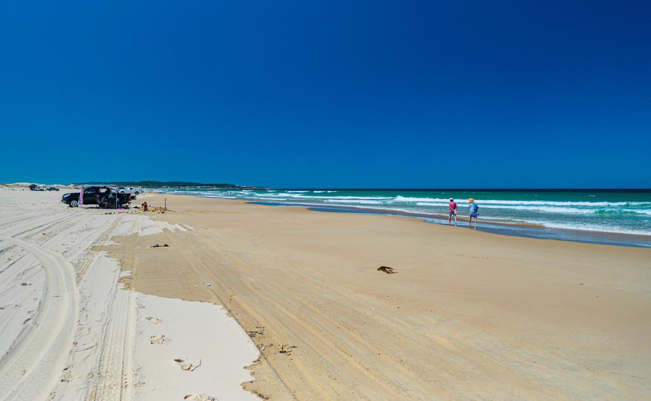 Stockton Beach'in fotoğrafı parlak ince kum yüzey ile