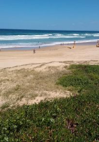 Port Stephens Konseyi