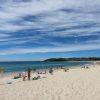 Fingal Bay Foreshore Reserve