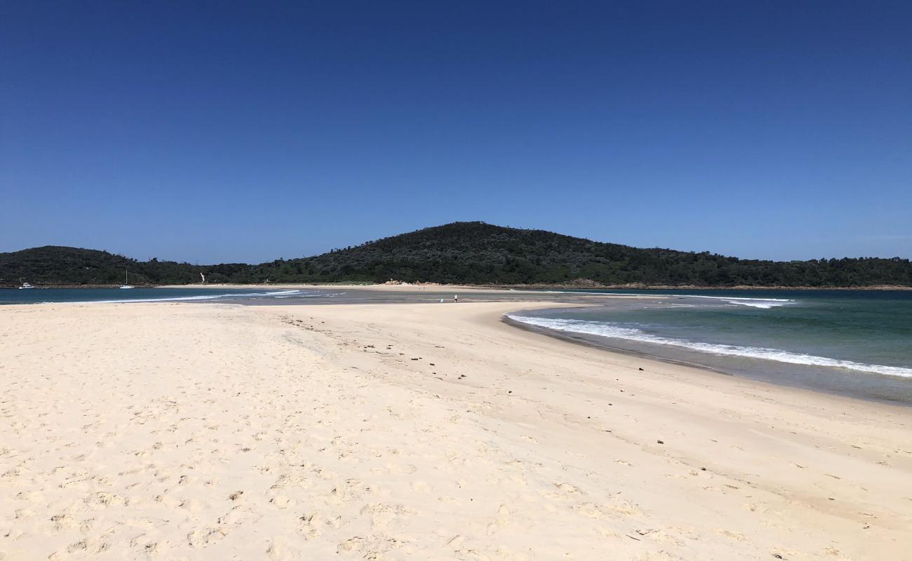 Fingal Beach'in fotoğrafı parlak ince kum yüzey ile