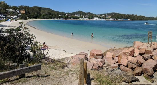 Nelson Bay Beach