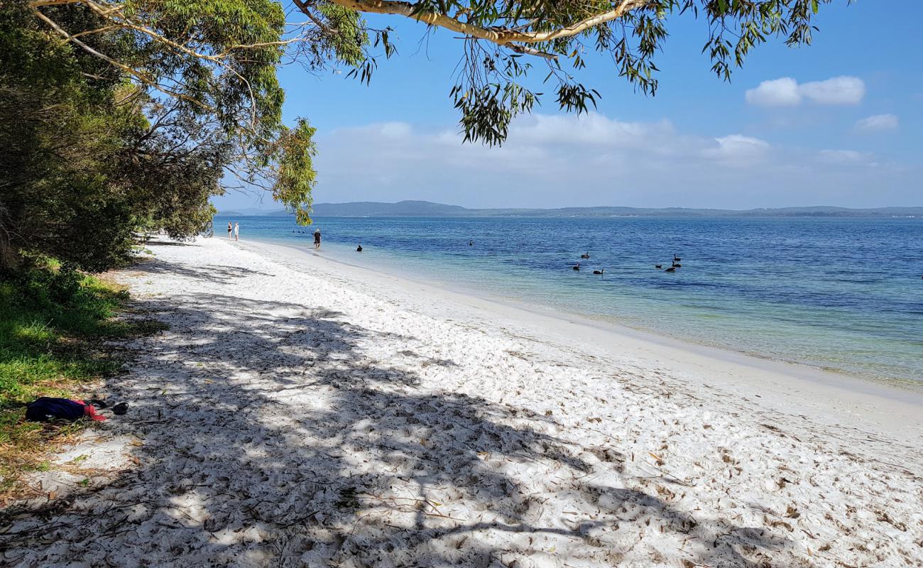 Bagnalls Beach'in fotoğrafı parlak kum yüzey ile