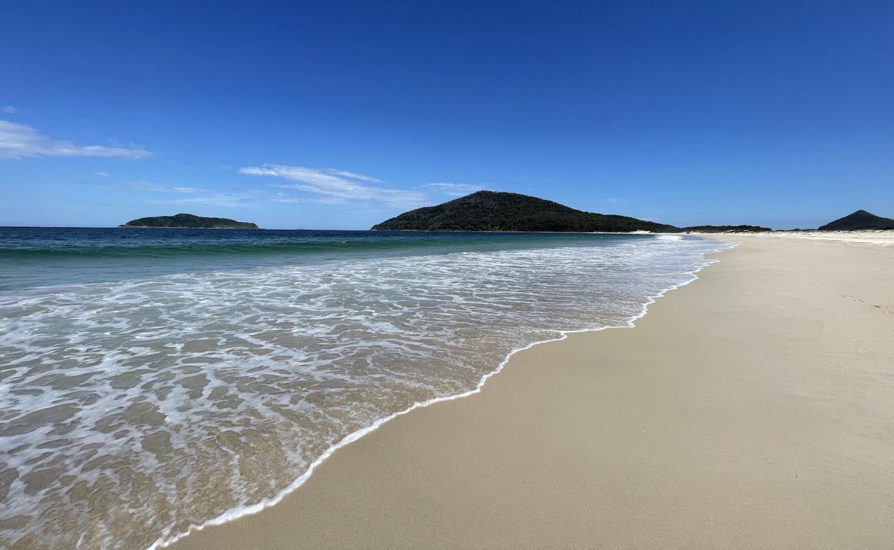Great Mermaid Beach'in fotoğrafı açık bej kum yüzey ile