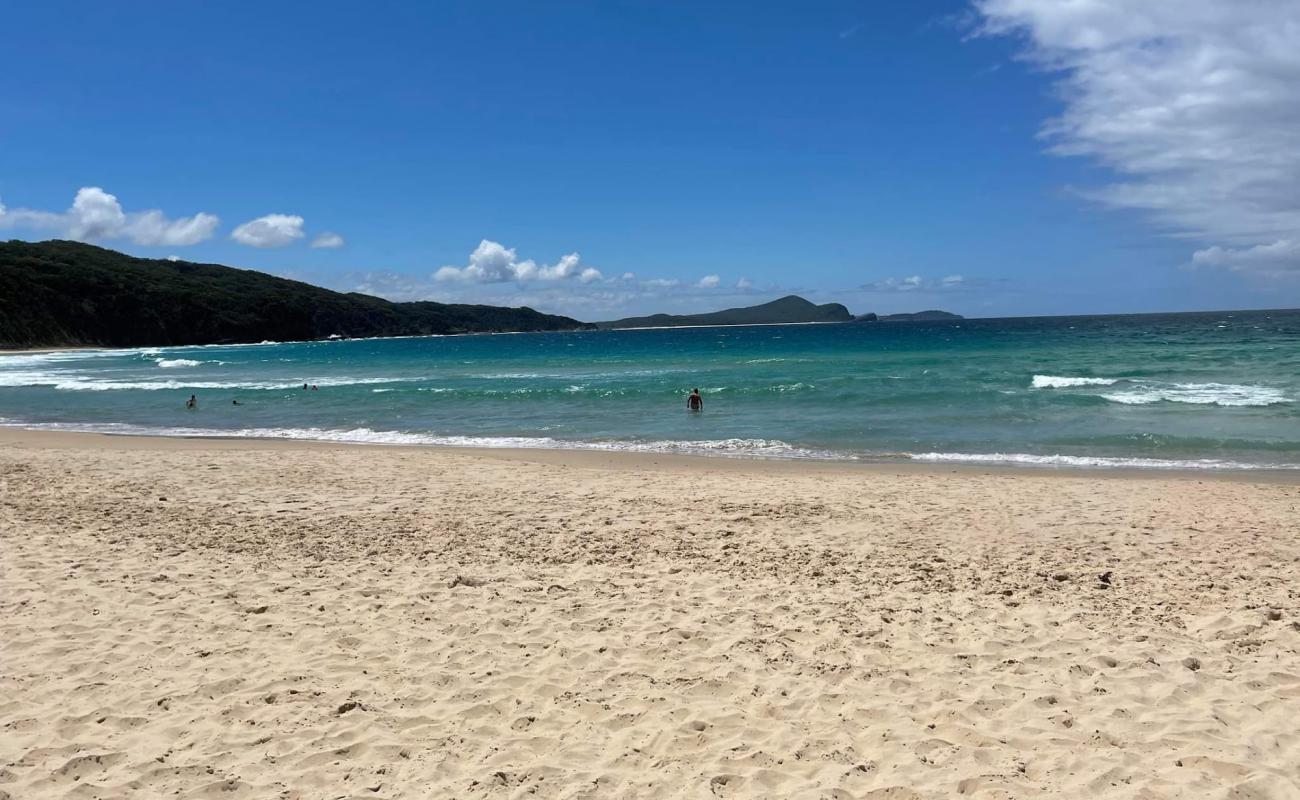 Treachery Beach'in fotoğrafı parlak ince kum yüzey ile