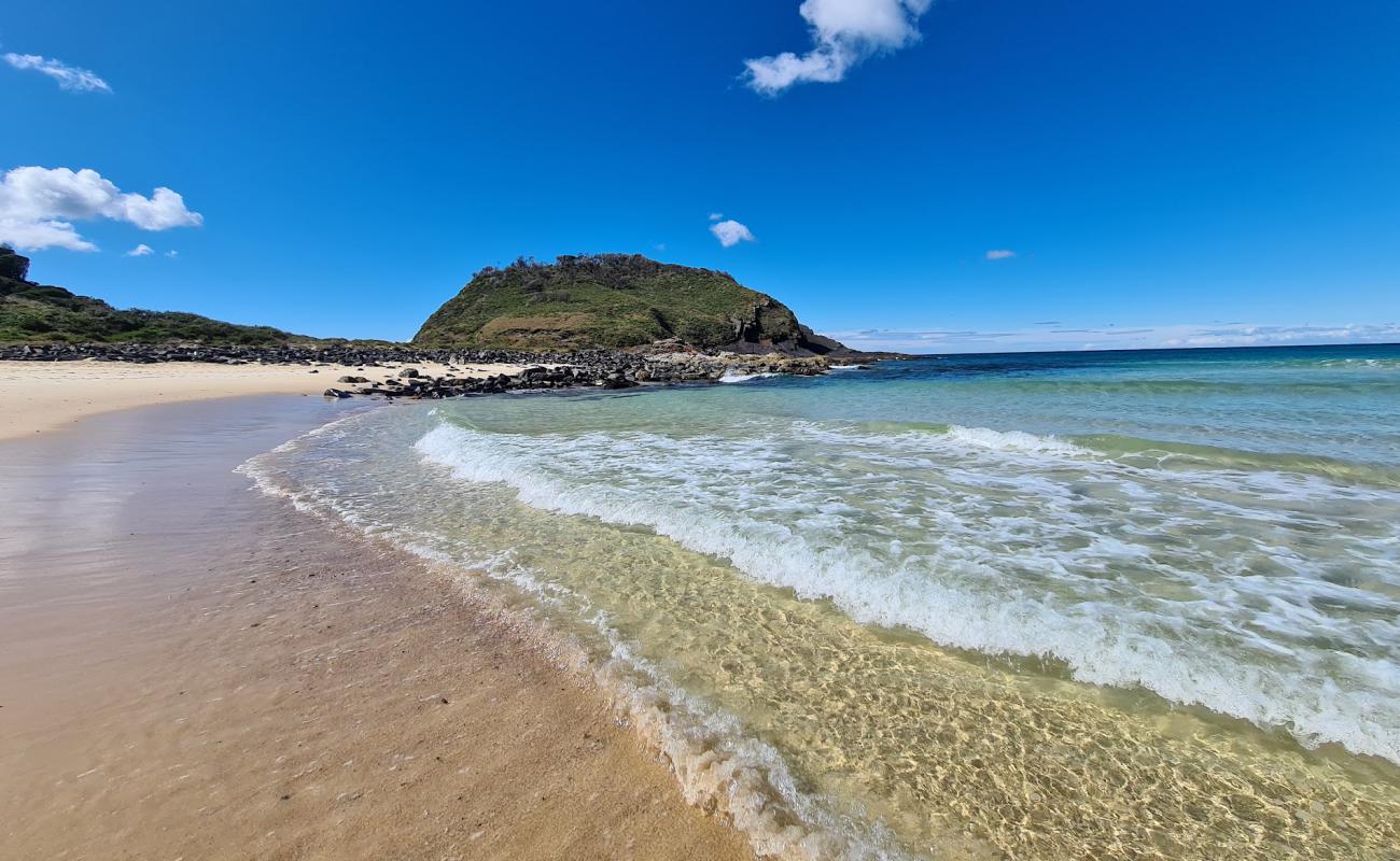 Sandbar Beach'in fotoğrafı açık bej kum yüzey ile