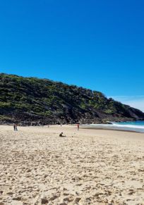 Mid-Coast Konseyi