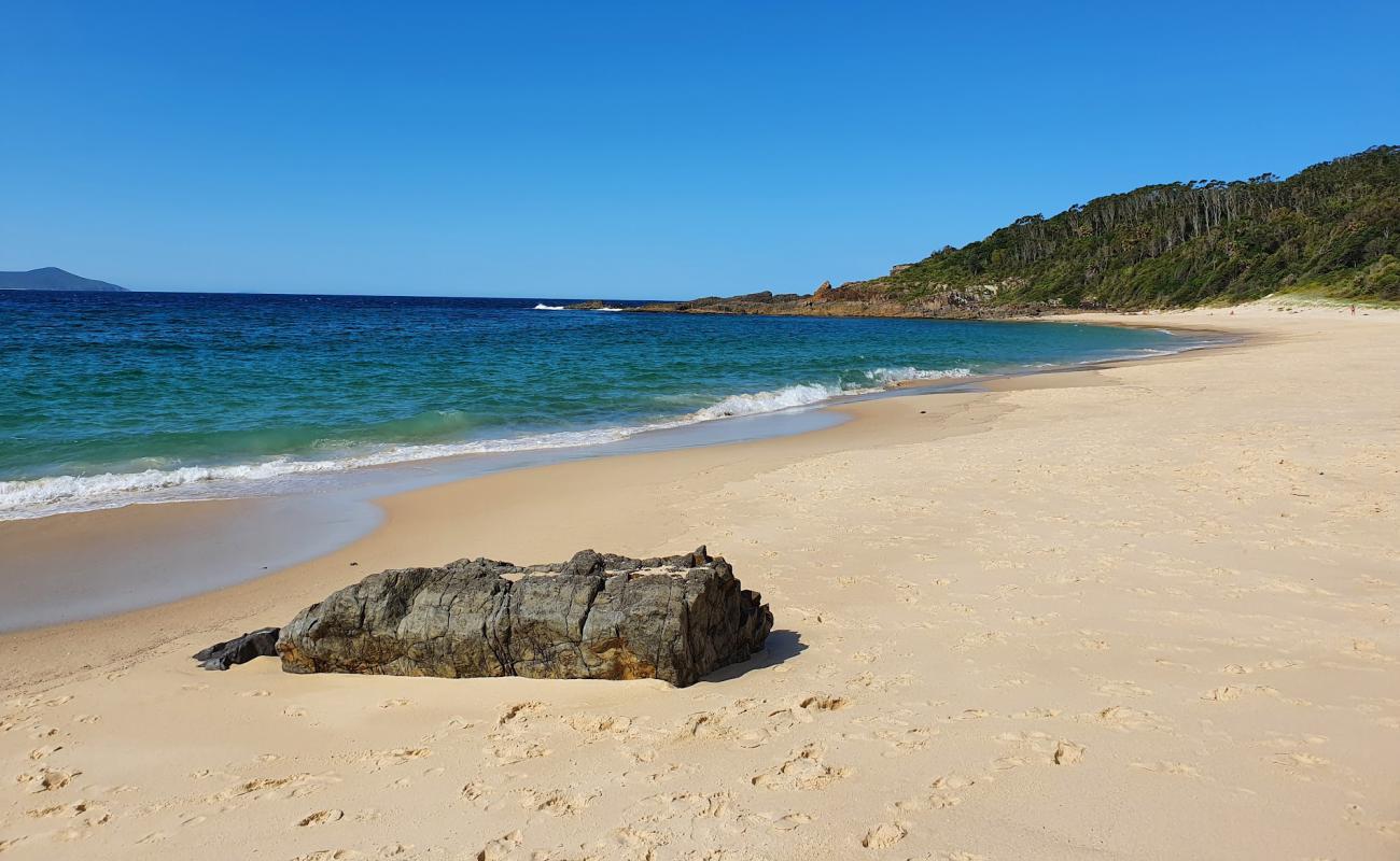 Shelly Beach'in fotoğrafı i̇nce bej kum yüzey ile