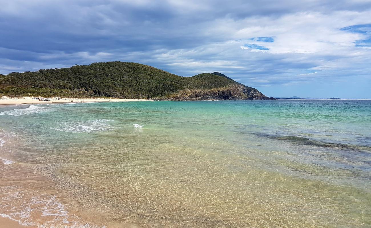 Elizabeth Beach'in fotoğrafı parlak ince kum yüzey ile