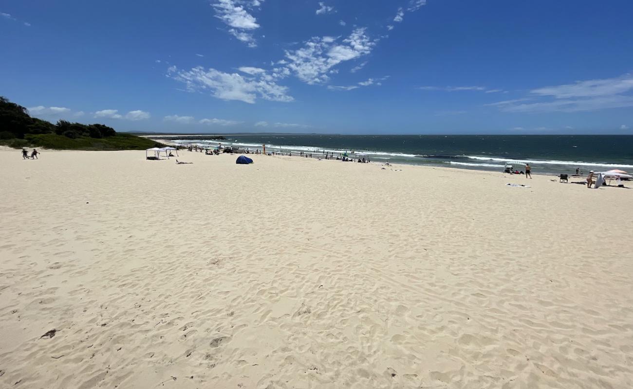 Forster Beach'in fotoğrafı i̇nce bej kum yüzey ile