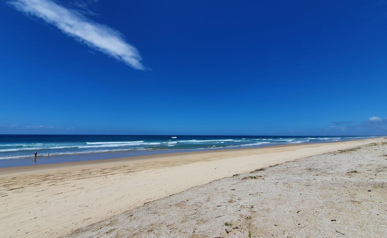 Old Bar Beach II'in fotoğrafı açık bej kum yüzey ile