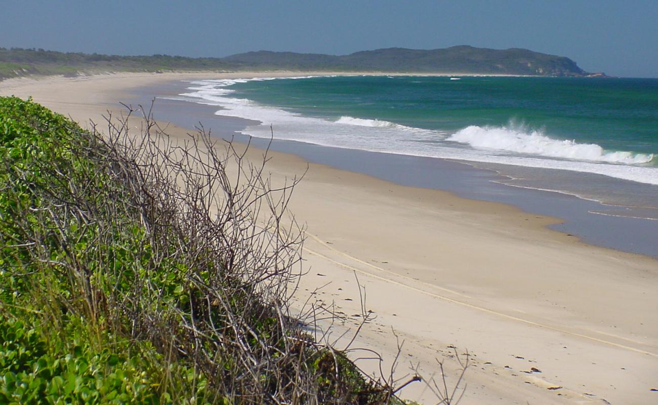 Crowdy Bay Beach'in fotoğrafı parlak kum yüzey ile